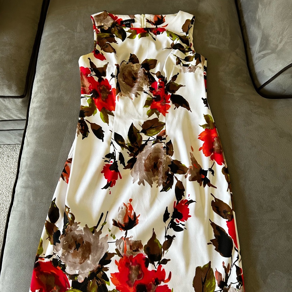 Alyx Red and Brown Sleeveless Sundress Mini